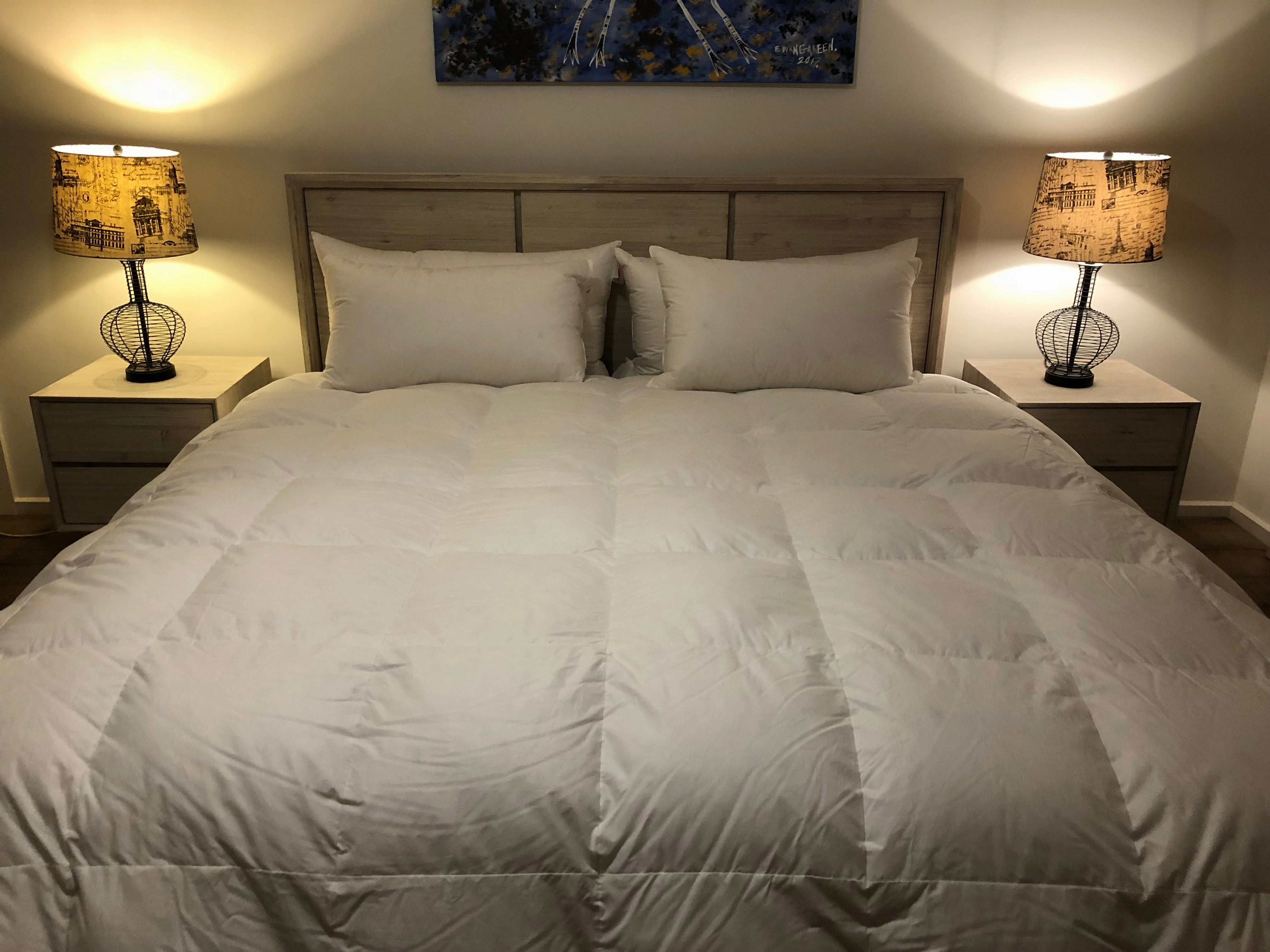 Baffle Boxed Super King Size Quilt 95% White Polish Mother Goose Down 3 Blanket Warmth 900 Fill Power German Batiste TE270
