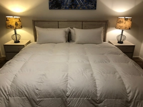 Baffle Boxed Super King Size Quilt 95% White Polish Mother Goose Down 3 Blanket Warmth 900 Fill Power German Batiste TE270