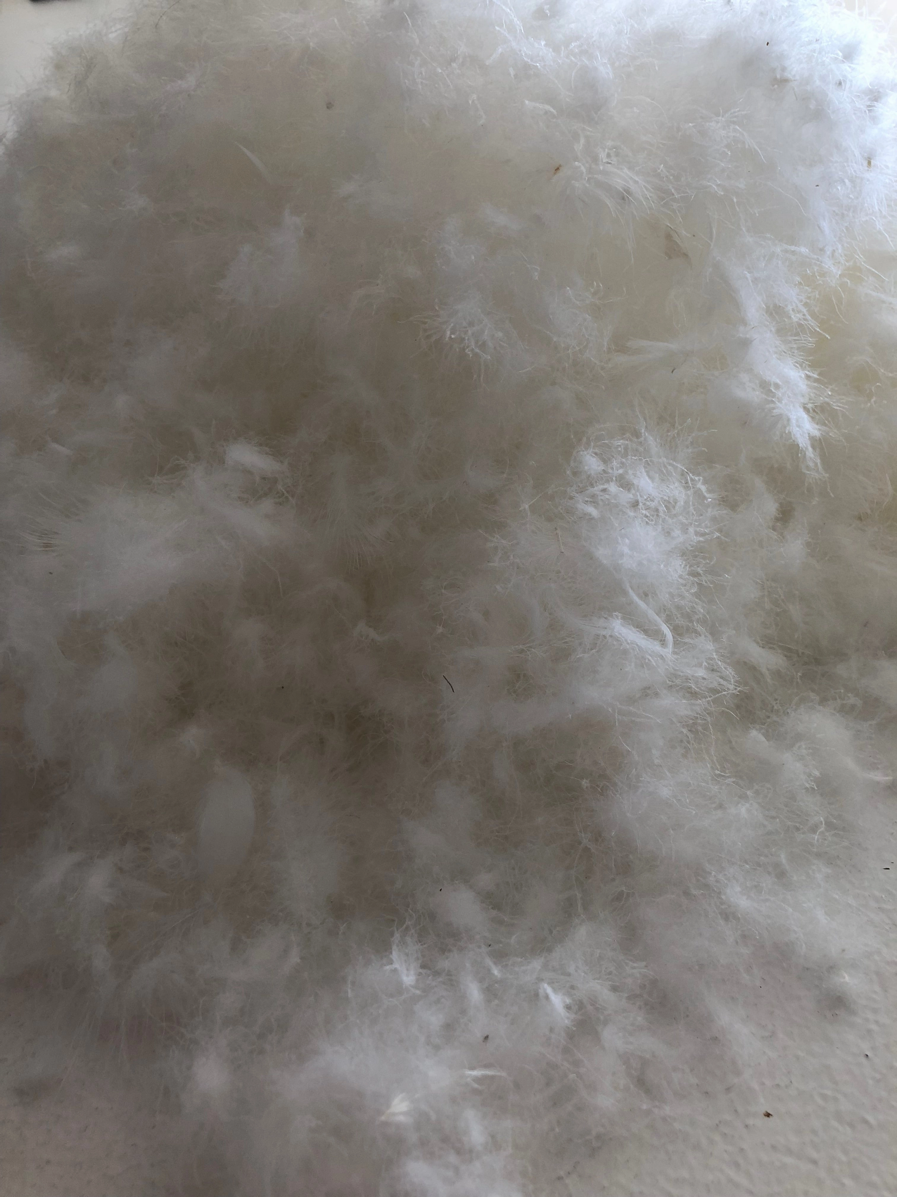 King Size Channel Quilt 95% White Premium Polish Goose Down 7 Blanket Warmth German Batiste TE100